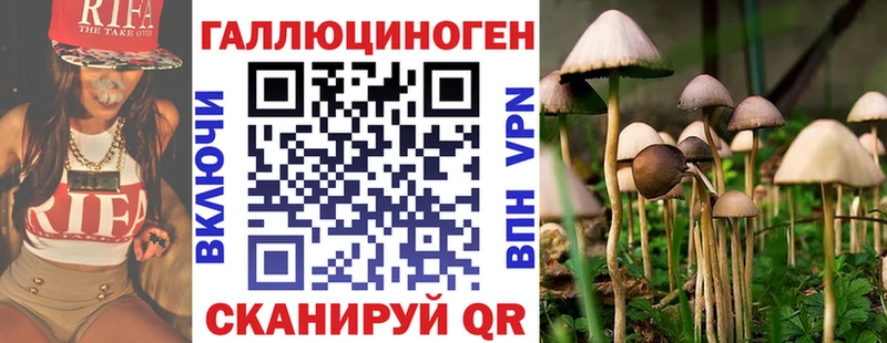 Галлюциногенные грибы мицелий  Нижние Серги 